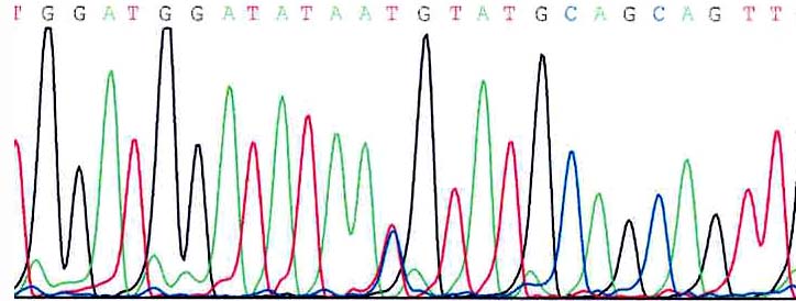Secuenciación Sanger